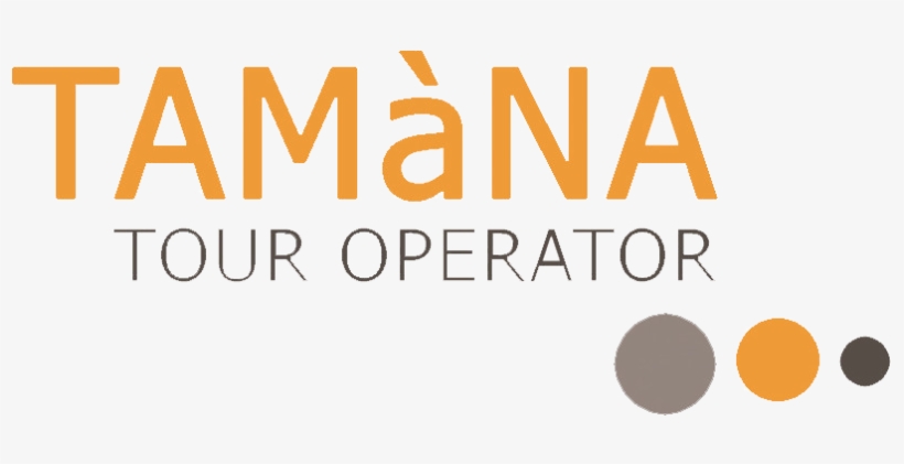 Suscribe To Our Newsletter - Tableau Desktop, transparent png