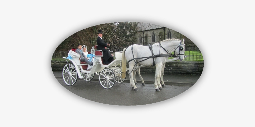 Kilvey Carriage House - White Horses And Carriage Png, transparent png