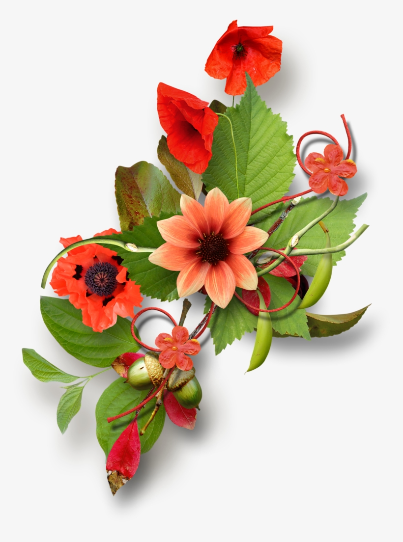B *✿* - Clip Art, transparent png