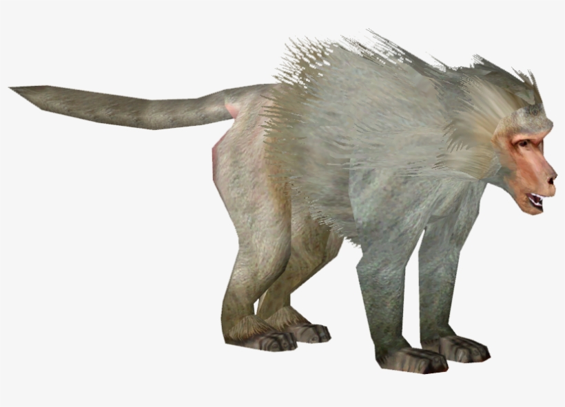 Hamadryas Baboon - Hamadryas Baboon Png, transparent png