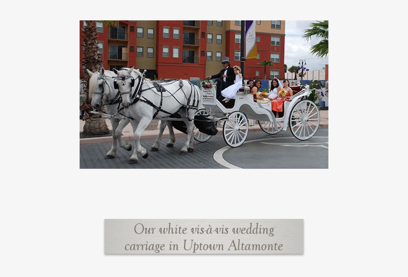 Prev Next - Horse And Buggy, transparent png