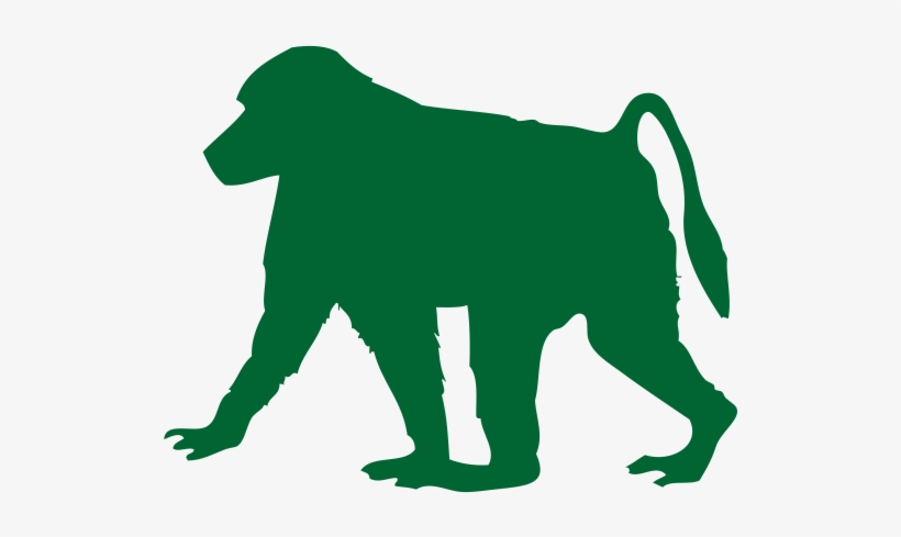 Baboon Transparent Image - Homalocephale, transparent png