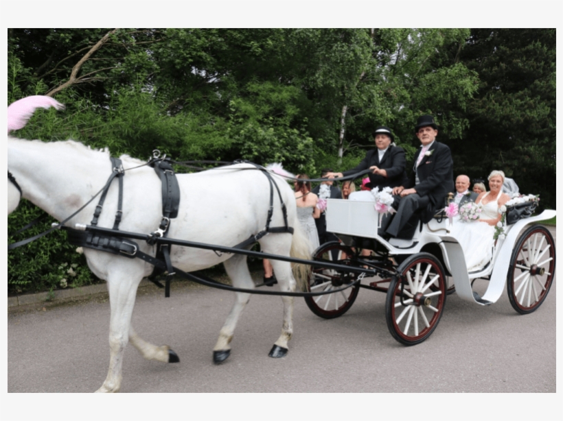 Horse And Buggy, transparent png