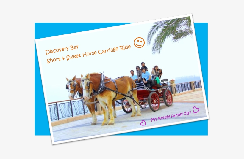 The Amazing "short & Sweet Horse Carriage Ride" Is - Sorrel, transparent png