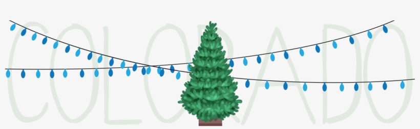 With A Beautiful Display Of Silvery-blue Needles And - Illustration, transparent png