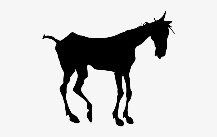 Old Nag Silhouette Public Domain Vectors - Silueta Vector Cabeza Burro, transparent png