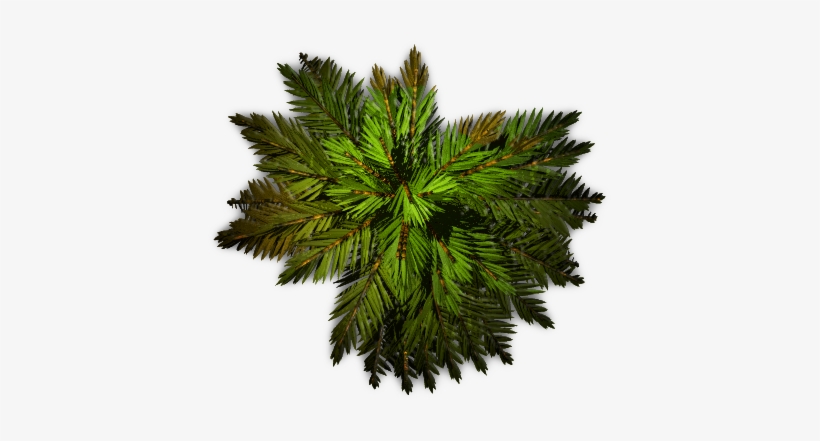 Dundjinni Mapping Software - Aprilia Rx/sx 50, transparent png