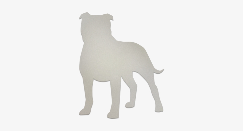 Staffordshire Bull Terrier, transparent png