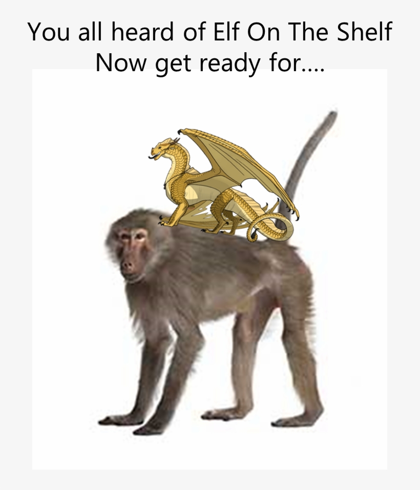 Dune On A Baboon By @ Blueberry The Dragon Mangleking - You Ve All Heard Of Elf, transparent png