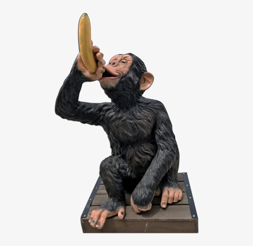 Safari Monkey - Safari, transparent png