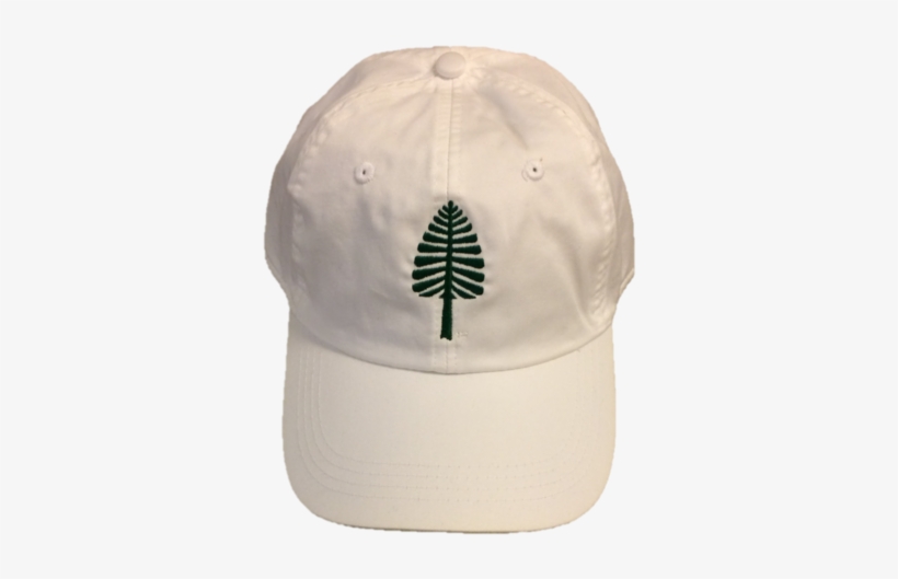 Lone Pine Hat - Patagonia Women's Micro D 1/4 Zip, transparent png