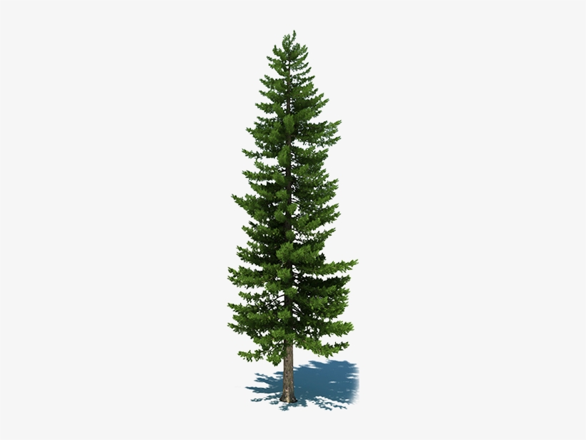 About Panagbenga - Christmas Tree, transparent png