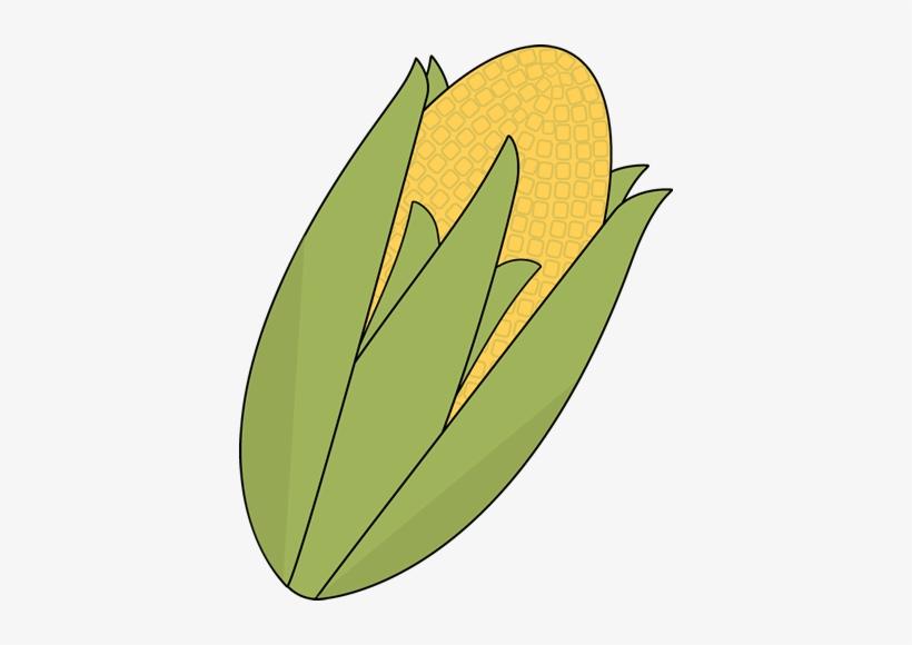Ear Of Corn Clip Art Ear Of Corn Image - Corn Clipart - 390x500 PNG