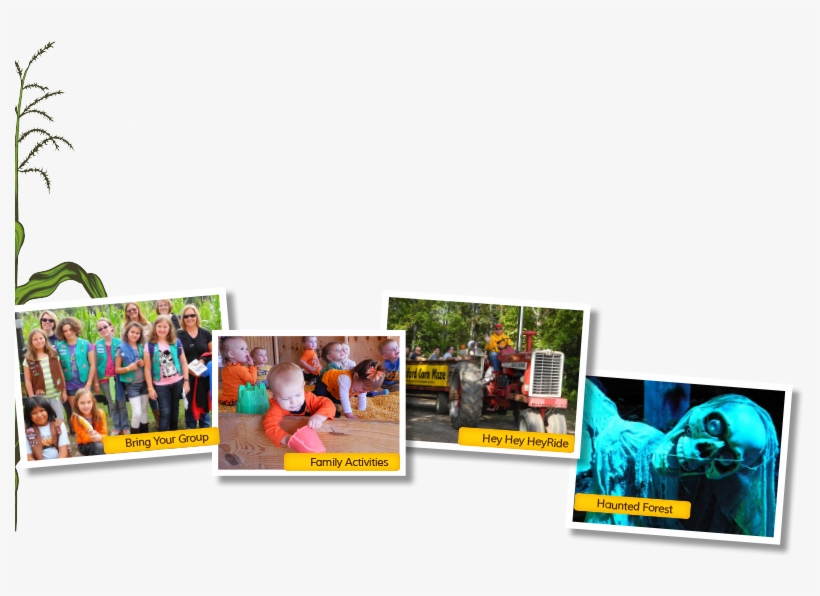 Stalk-photos - Graphic Design, transparent png