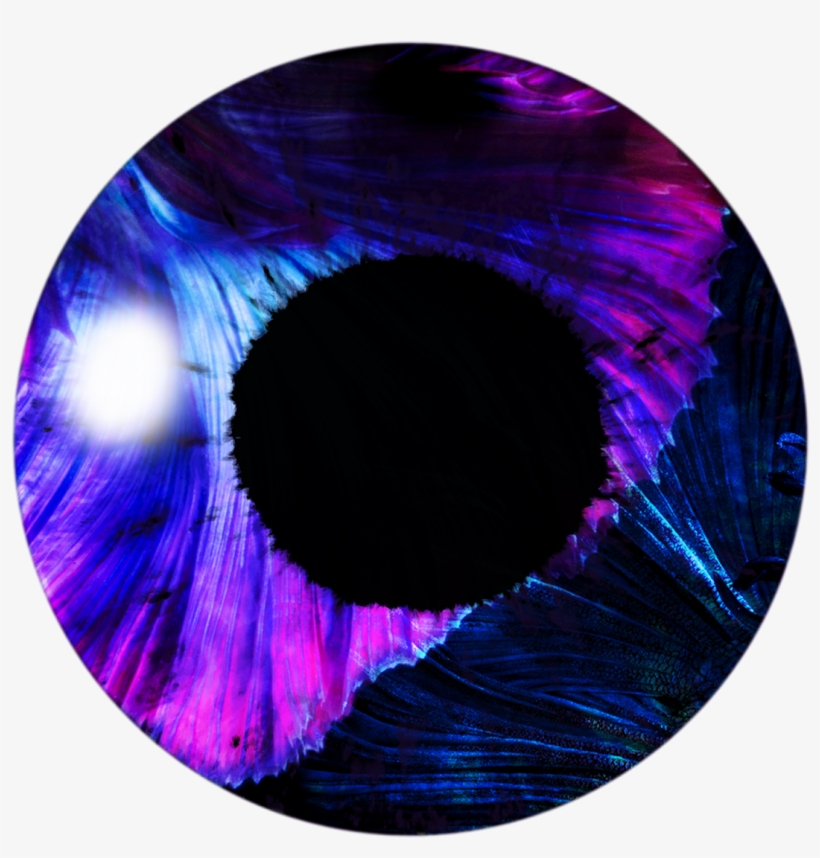 Mreditor Ps 91 - Picsart Photo Studio, transparent png