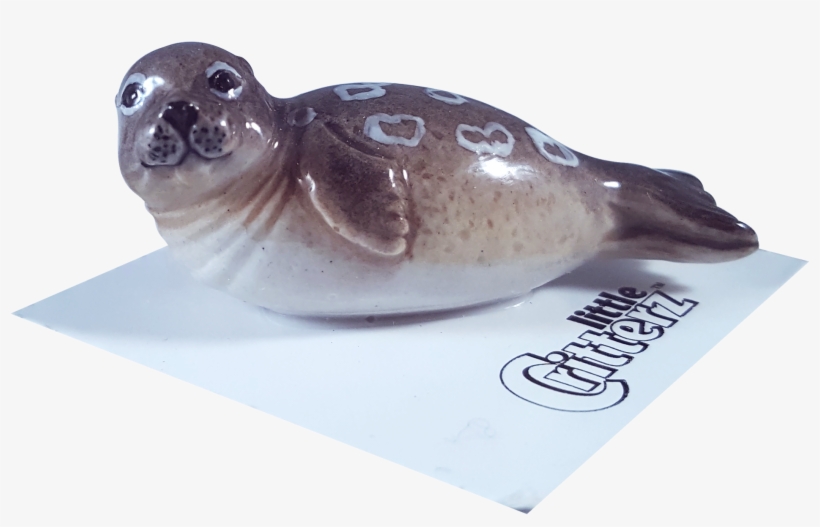 "chukchi" Ringed Seal - Ceramic, transparent png