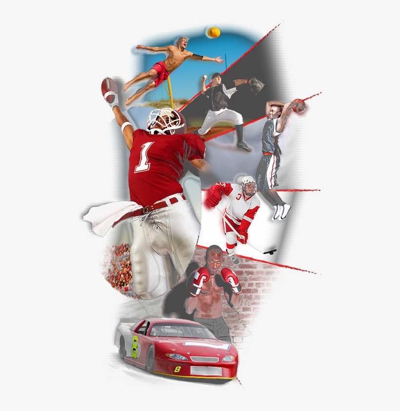 Pic3 - Race Cars On The Go [book], transparent png