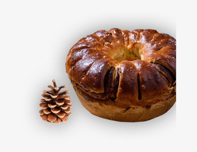 Tipo Servico - Conifer Cone, transparent png