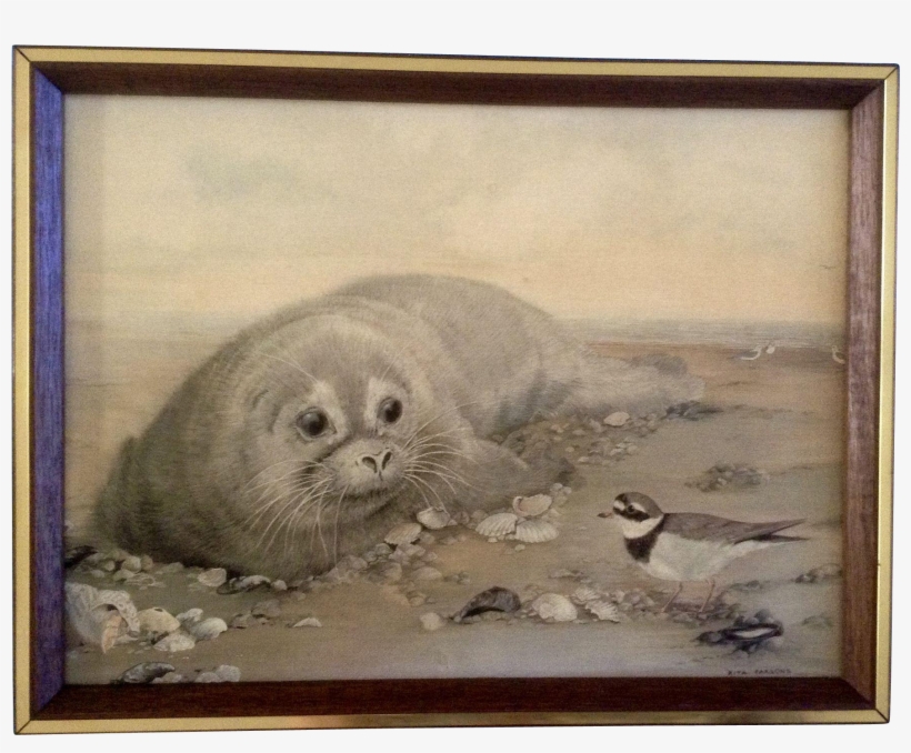Rita Parsons "orphan" Giclee On Canvas Framed Of A - Picture Frame, transparent png