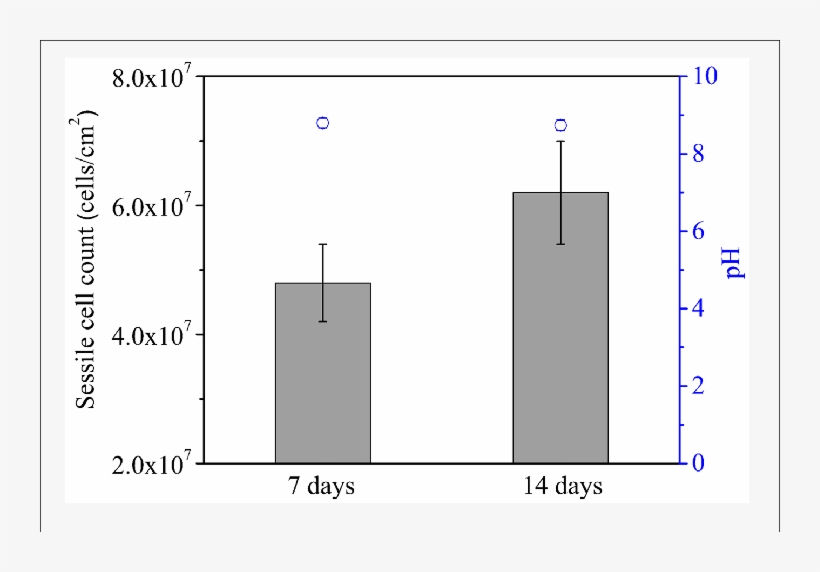 Sessile Cell Counts On The Coupon Surface And Ph Values - Diagram, transparent png