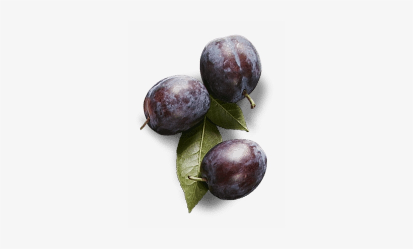 Saba Is A Secret Ingredient Of Chefs And Foodies Alike - Saison, transparent png