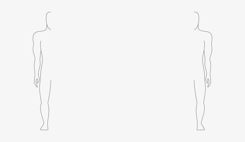 Line Art, transparent png