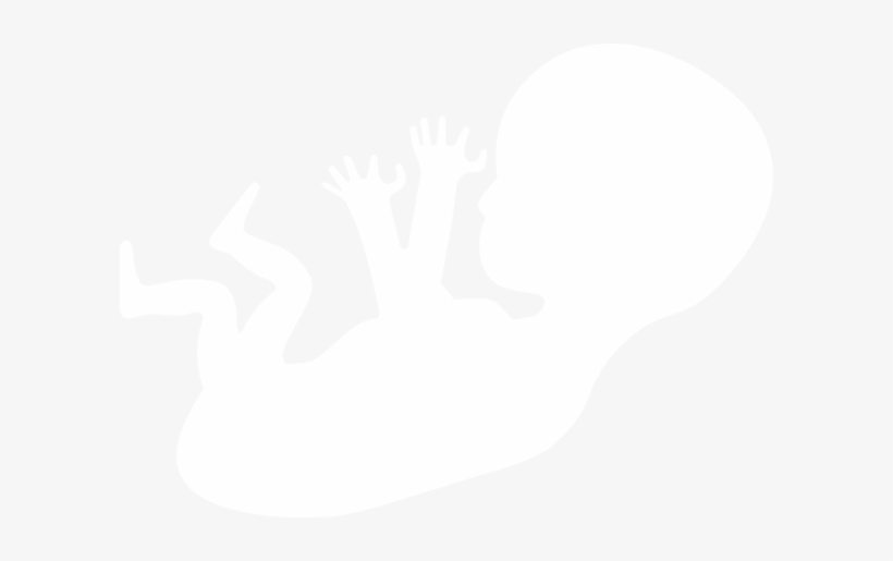 Basta De Soñar, transparent png