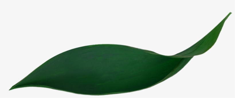 Safe Care - Aromatherapy, transparent png