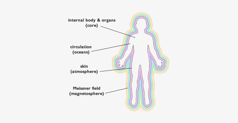 Magnetosphere - Advantage And T Cell Therapy, transparent png