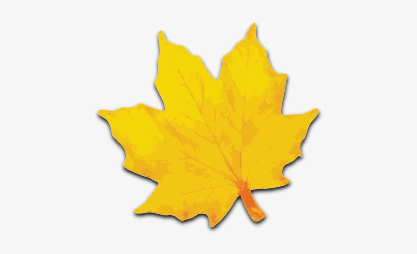 Small - Yellow Maple Leaf Clipart, transparent png