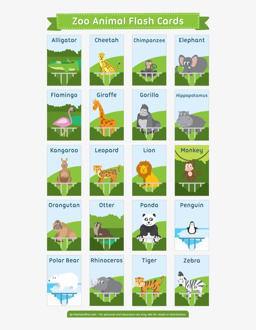 Description - Flash Card Zoo Animal, transparent png