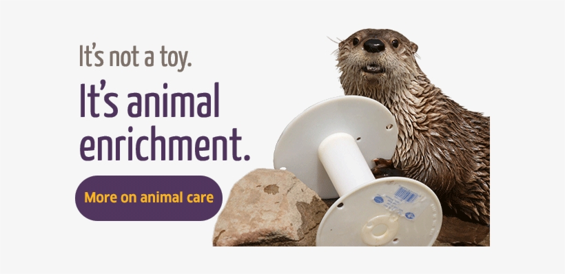 It's Animal Enrichment - Franklin Park Zoo, transparent png