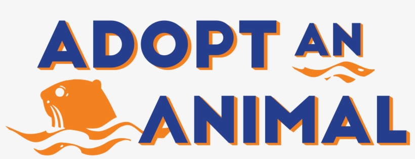 Support The Discovery Zoo By Adopting One Of Your Favorite - Graphic Design, transparent png