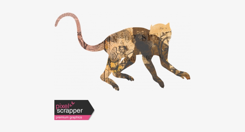 Animal Kingdom - Zoo Collage - Monkey - Silhouette, transparent png