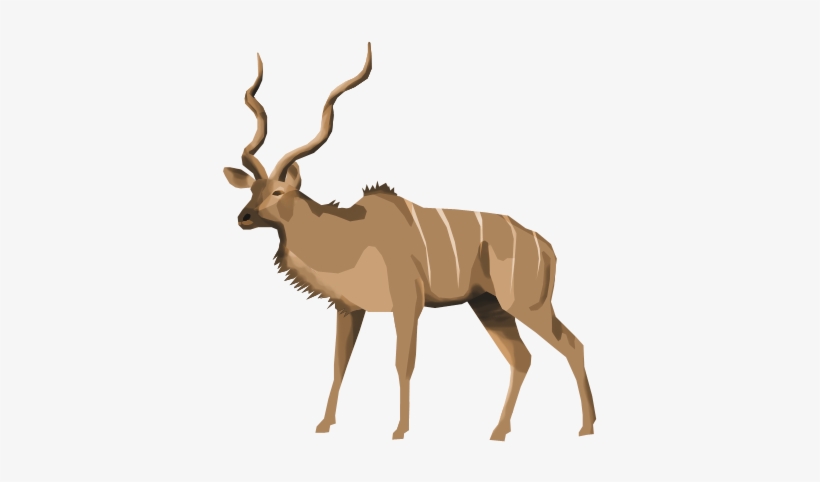 I Need Your Help I Want To See Who Is Available To - Bongo, transparent png