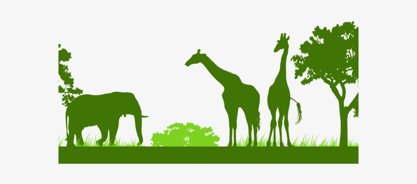 Land Land - Clip Art, transparent png