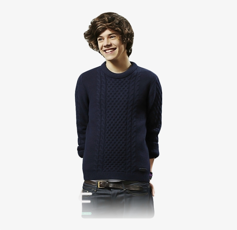 This Is The Completely Insane And Entirely True Account - Adventures Of One Direction Harry, transparent png