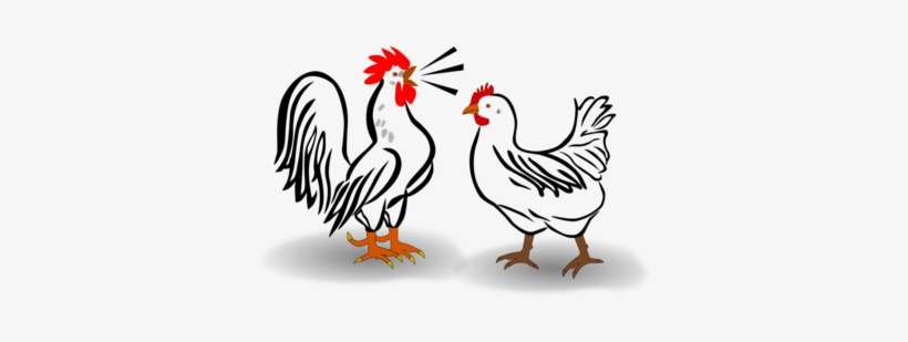 Cochin Chicken Leghorn Chicken Plymouth Rock Chicken - Chicken Rooster Clip Art, transparent png