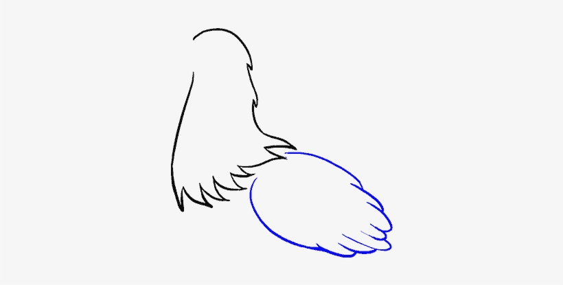 How To Draw Chicken - Sketch, transparent png