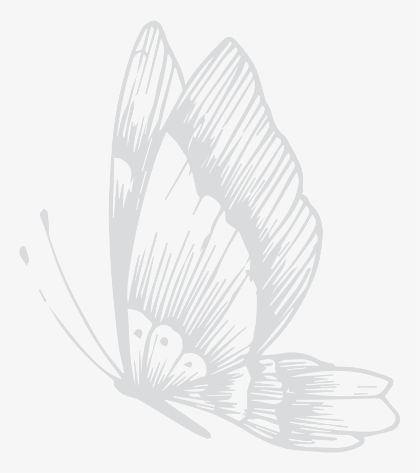 Please Indicate Your Preferences And Wildlife Specific - Jim's Jungle Retreat, transparent png