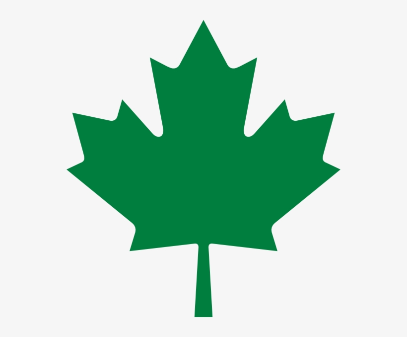 Leaf Png - Green Canadian Maple Leaf, transparent png