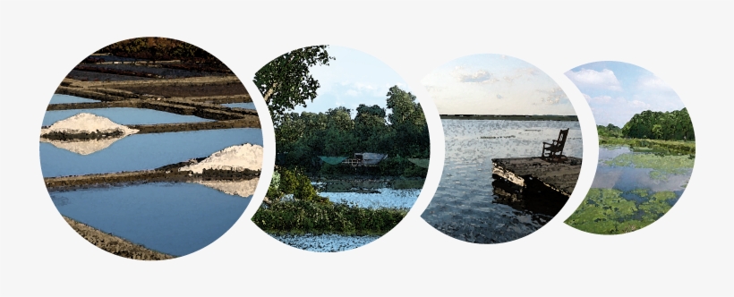 The 5th International Symposium On Wetland Pollutant - Reflection, transparent png