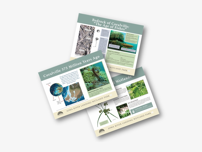 More Recently The Wetland Park Has Undergone Further - Brochure, transparent png