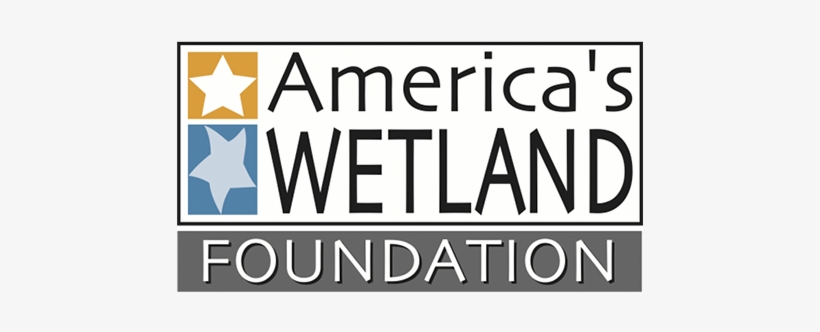 Americas Wetland Foundation Logo Thumb - Wetland Conservation, transparent png