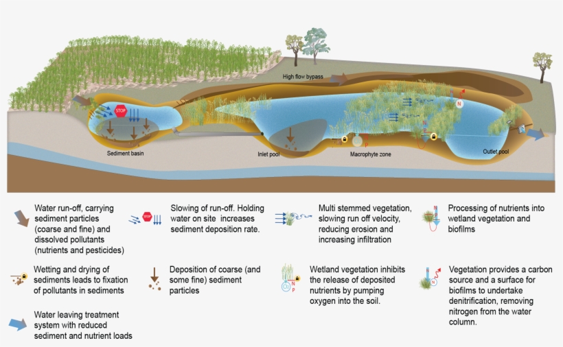 Treatment Wetlands - Science, transparent png