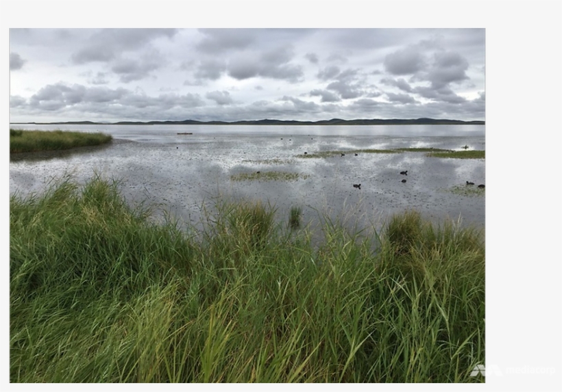 Wetland On Tibetan Plateau Threatened By Global Warming, transparent png