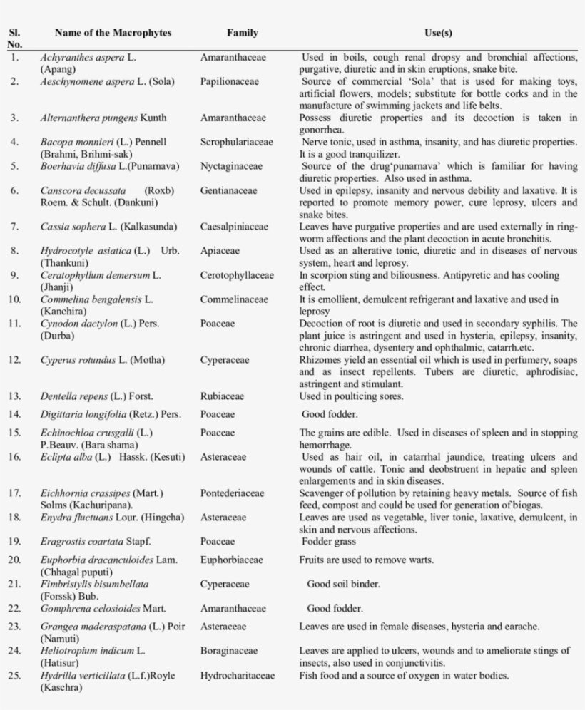Economic Prospect Of Macrophytes In Rajmata Wetland - Wetland, transparent png