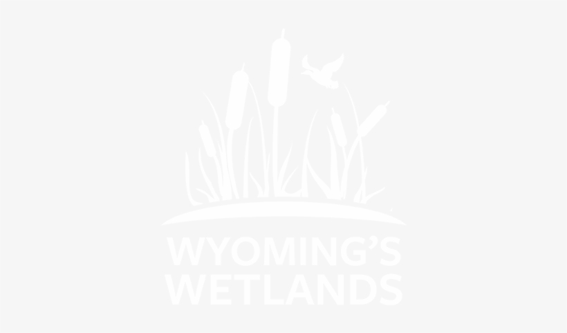 About - Ecology - Conservation - Visit Wetlands - Illustration, transparent png