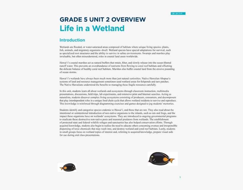 Life In A Wetland - Common Myna, transparent png