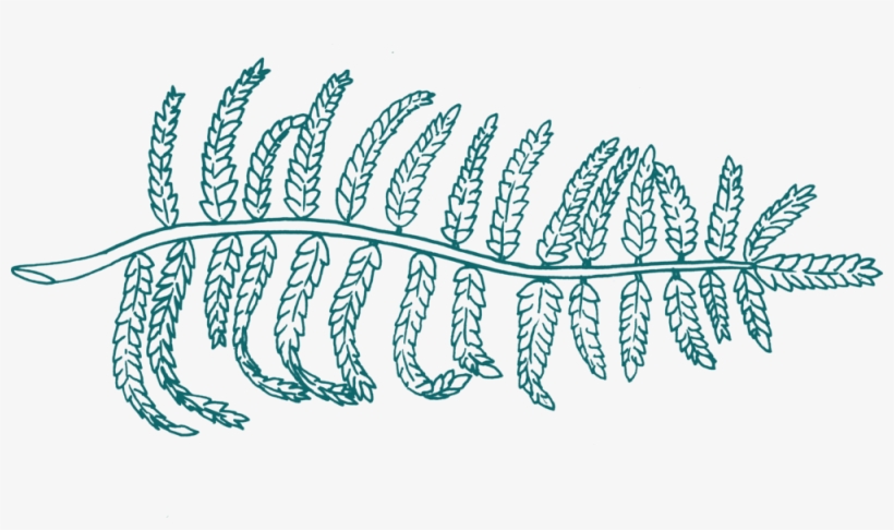 Fern Green, transparent png